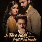 Je Tere Naal Pyar Na Hunda film Türkçe İzle