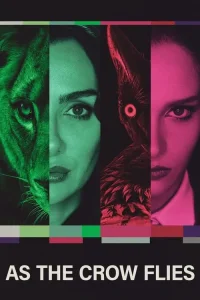 Kuş Uçuşu film Hd İzle Fragman Görseli