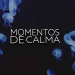 Momentos de calma dizi Ful İzle