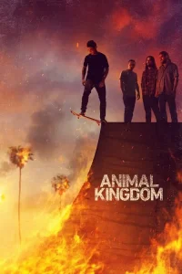 Animal Kingdom film Ful İzle Fragman Görseli