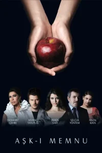 Aşk-ı Memnu dizi Hd İzle Fragman Görseli