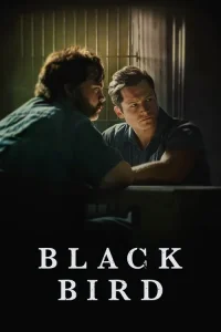 Black Bird film Tek Part İzle Fragman Görseli