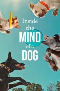 Köpeklerin Aklından Neler Geçiyor? Fragman Görseli
