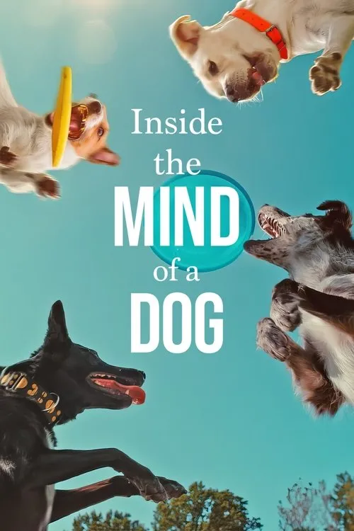 Köpeklerin Aklından Neler Geçiyor? (2024)