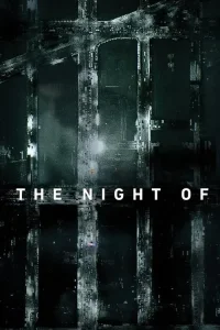 The Night Of film İzle Fragman Görseli
