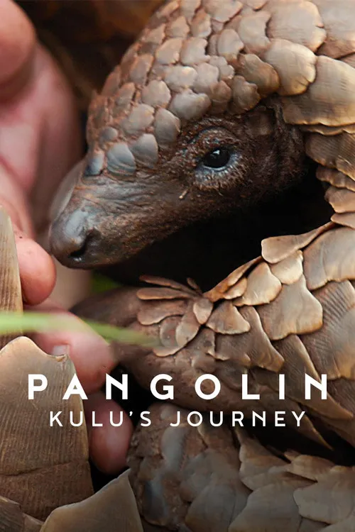 Pangolin: Kulu’nun Yolculuğu film İzle